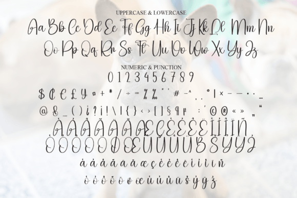 Bulldogs Font - Preview 6