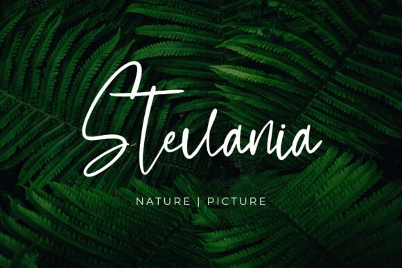 Burkellia Font - Preview 5