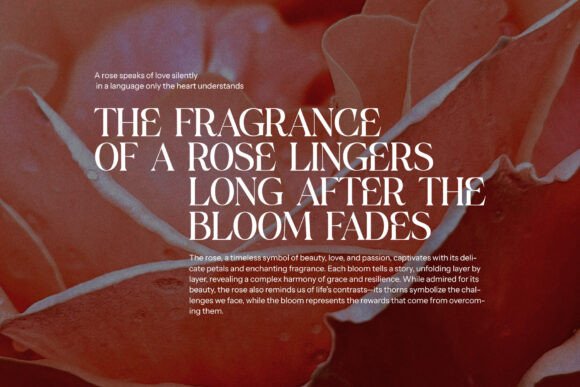 Celgin Font - Preview 5