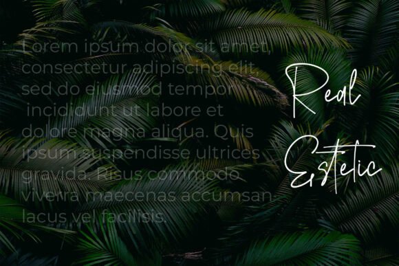 Conellista Font - Preview 2