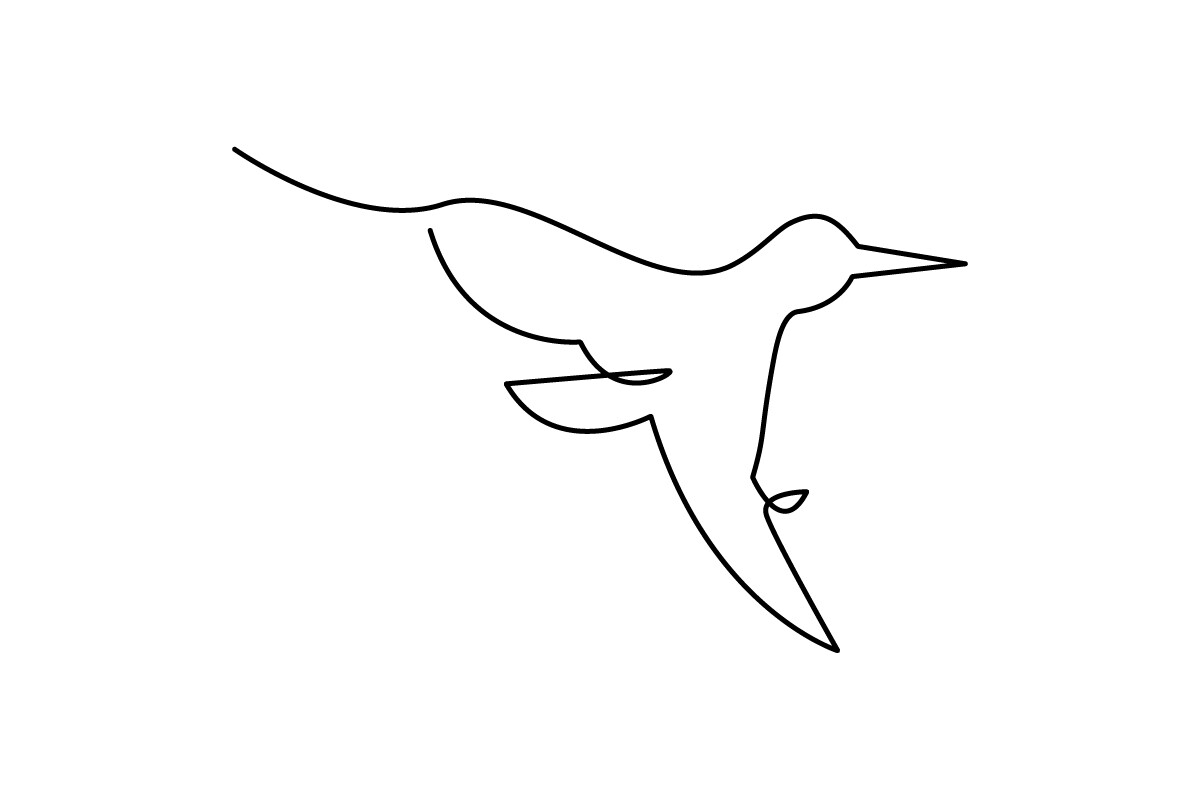 Hummingbrid Continuous Line Graphic by hibettermind · Creative Fabrica