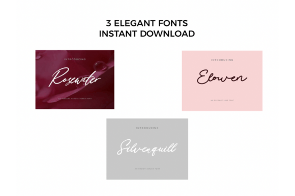 Italic Bundle Font PNG with transparent background - Preview 1