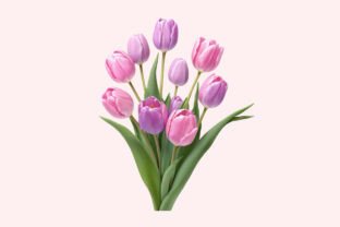 Pink Purple Tulips Clipart Bundle Graphic by Colourful · Creative Fabrica