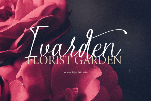 Alphiness Font - Preview 3