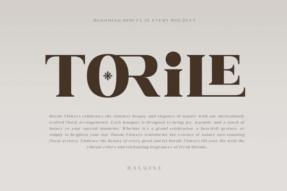 Balgine Font - Preview 1