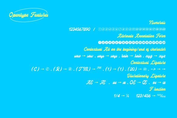 Brillscript Font - Preview 5