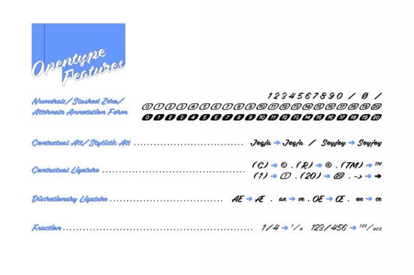 Chiba Script Font - Preview 2
