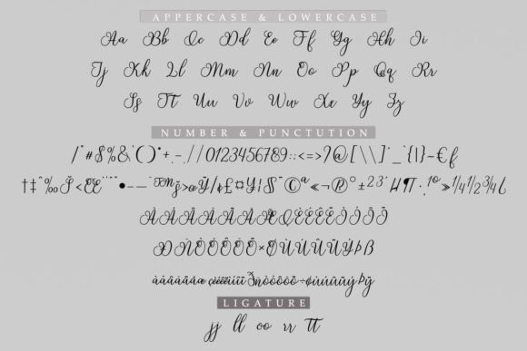Delhi Font - Preview 4