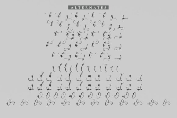 Delhi Font - Preview 6
