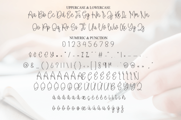 Diskey Signature Font - Preview 6