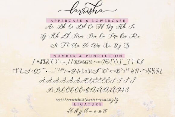 Larrisha Font PNG with transparent background - Preview 4