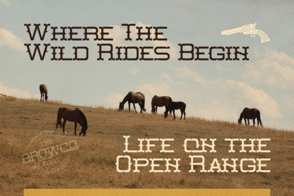 Browco Font - Preview 2