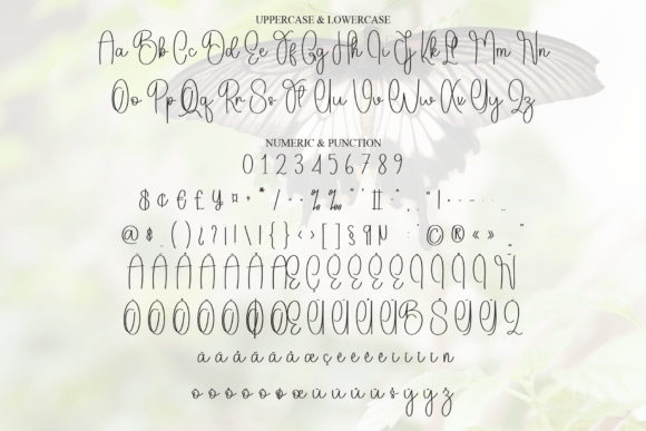 Butterfly Font - Preview 6