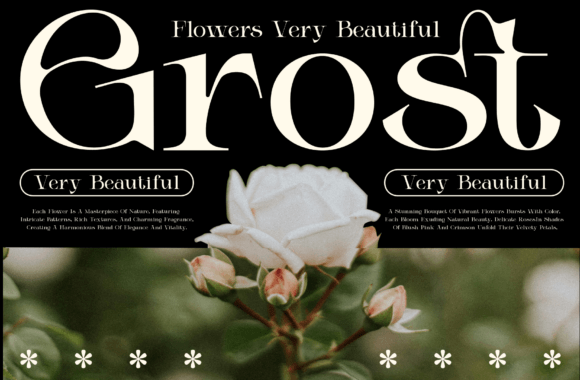 Elicen Font - Preview 4