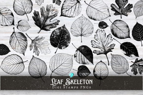 Leaf Skeleton Digital Stamps PNGs