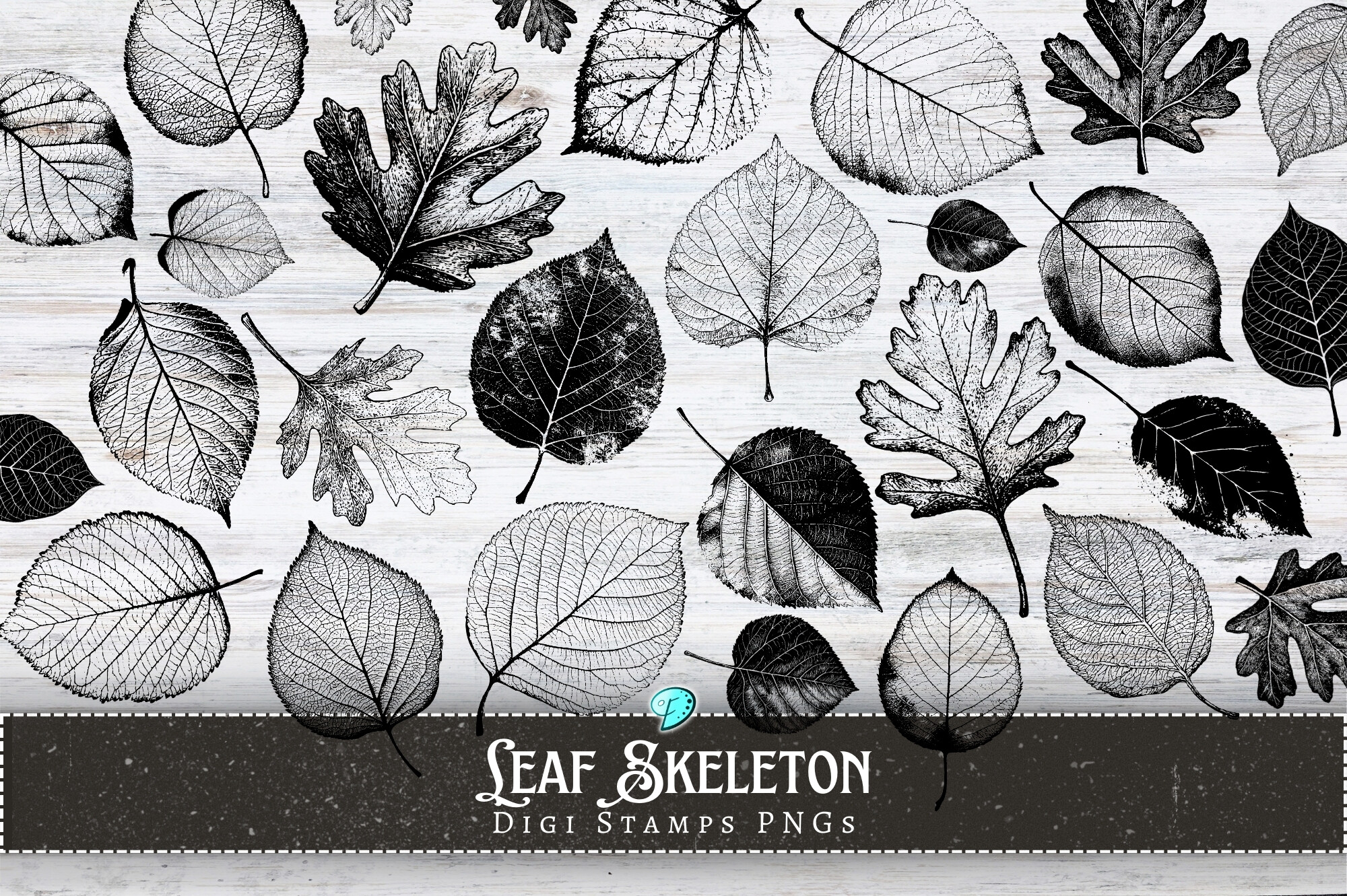 Leaf Skeleton Digital Stamps PNGs