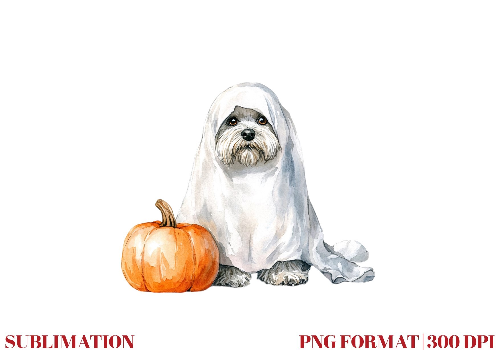 Pumpkin Havanese Dog Ghost Graphic by Mirawillson · Creative Fabrica