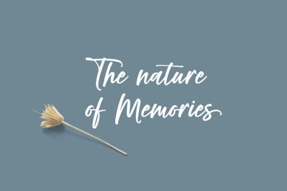 Rambow  Font PNG with transparent background - Preview 1