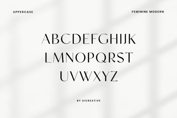 Alona Ravigent Font - Preview 4