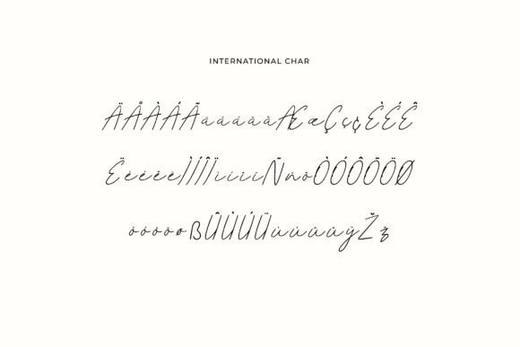 Andino Rasmitha Font - Preview 6