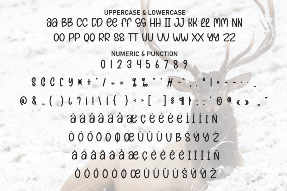 Brown Reindeer Font - Preview 6