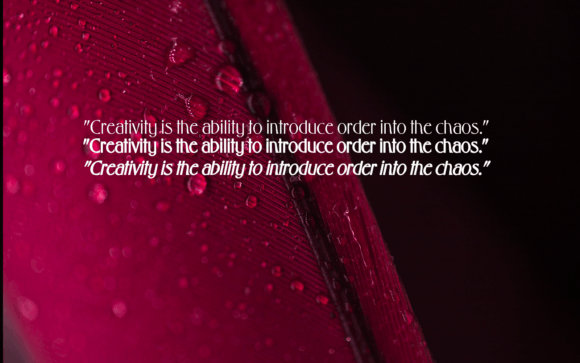 Evo Elegance Font - Preview 2