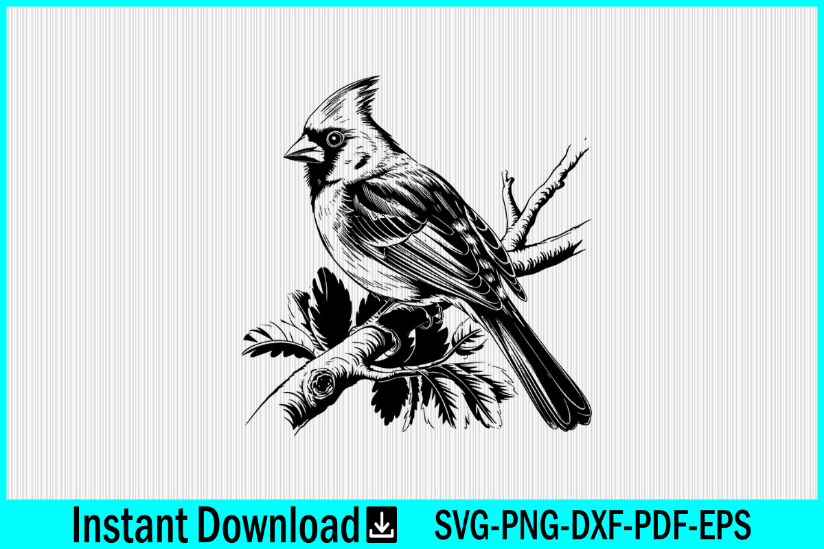 Cardinal Bird SVG Cardinal Vector SVG Graphic by Craftabledesign ...