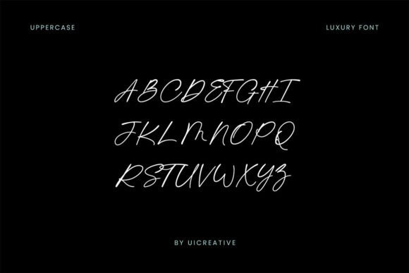 Anthonia Signature Font - Preview 4