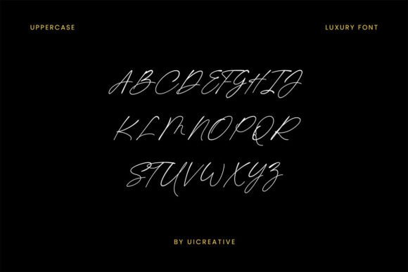 Beastie Signature Font - Preview 4