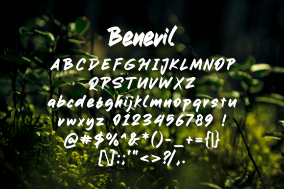 Benevil Font - Preview 1