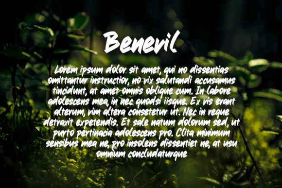 Benevil Font - Preview 2
