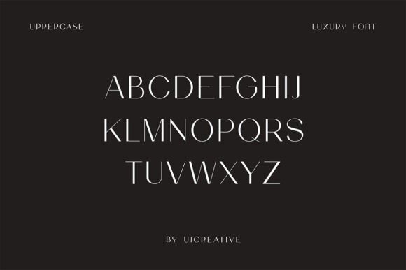 Bonnevarc Font - Preview 4