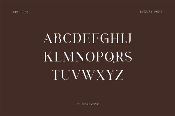 Brunizer Display Font - Preview 4