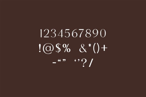 Brunizer Display Font - Preview 6