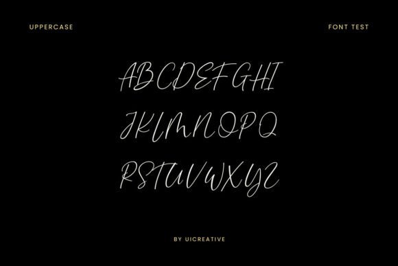 Caralance Signature Font - Preview 4