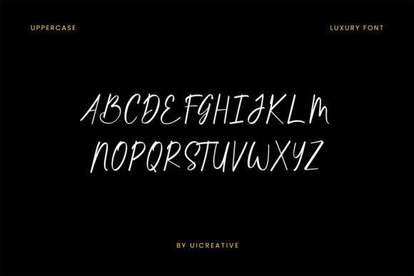 Catherina Signature Font - Preview 3