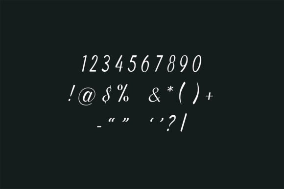 Catherina Signature Font - Preview 5