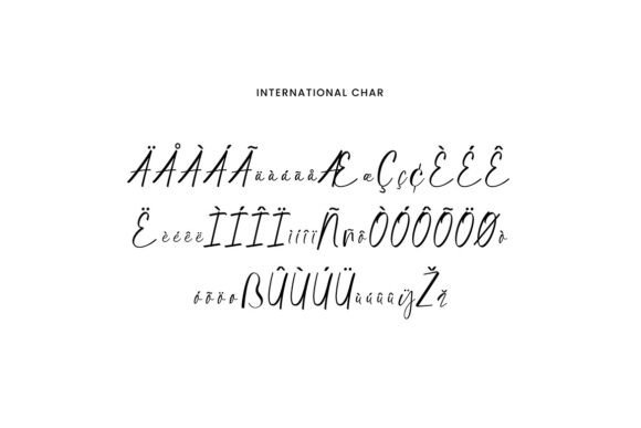 Catherina Signature Font - Preview 6