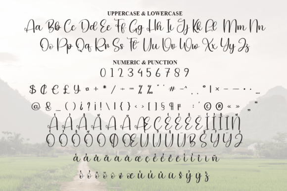 Country Font - Preview 6