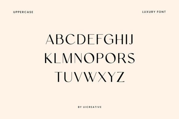 Elaine Kinandhita Font - Preview 4