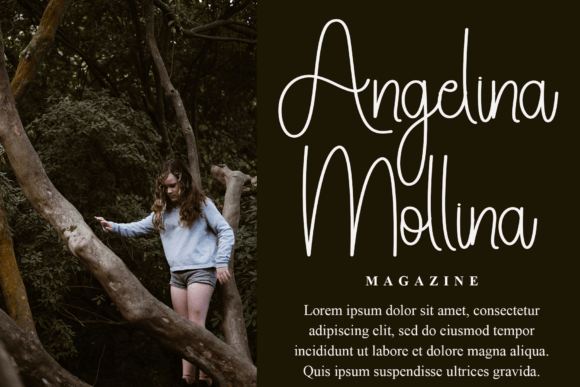 Signature Design Font font preview - 1