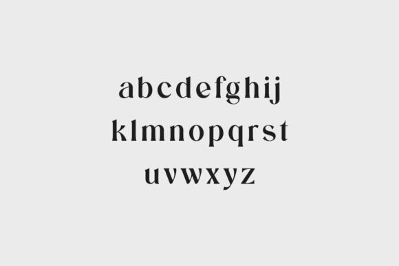 Aluvion Display Font - Preview 5