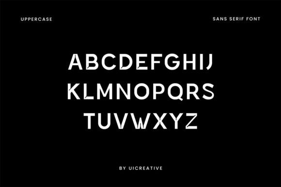 Amidone Grotesk Font - Preview 4