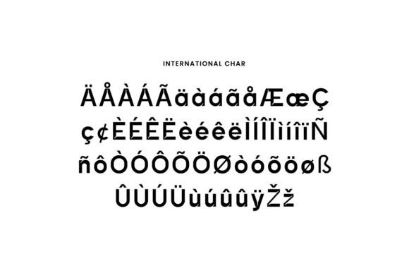 Amidone Grotesk Font - Preview 6