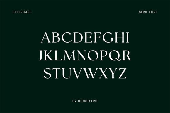 Ariane Coachella Font - Preview 5