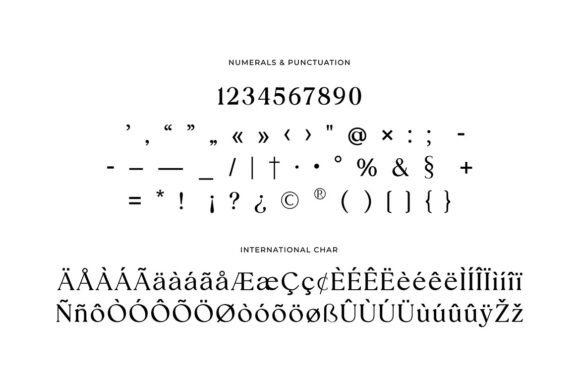 Ariane Coachella Font - Preview 6
