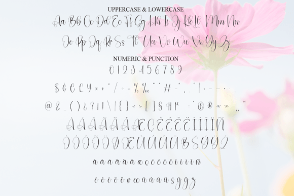 Beautiful Font - Preview 6