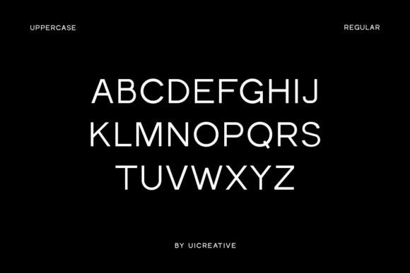 Fieldstones Font - Preview 5