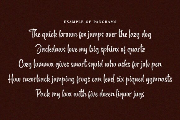 Delighter Font - Preview 3