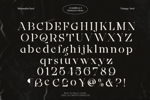 Ainsley Latinesed Font - Preview 2